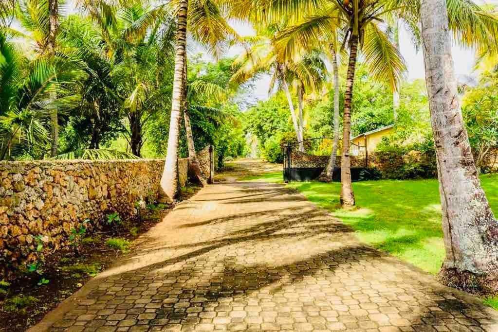 Palm House - Luxury Villa - Samana - Ocean Front Sanchez Exterior photo