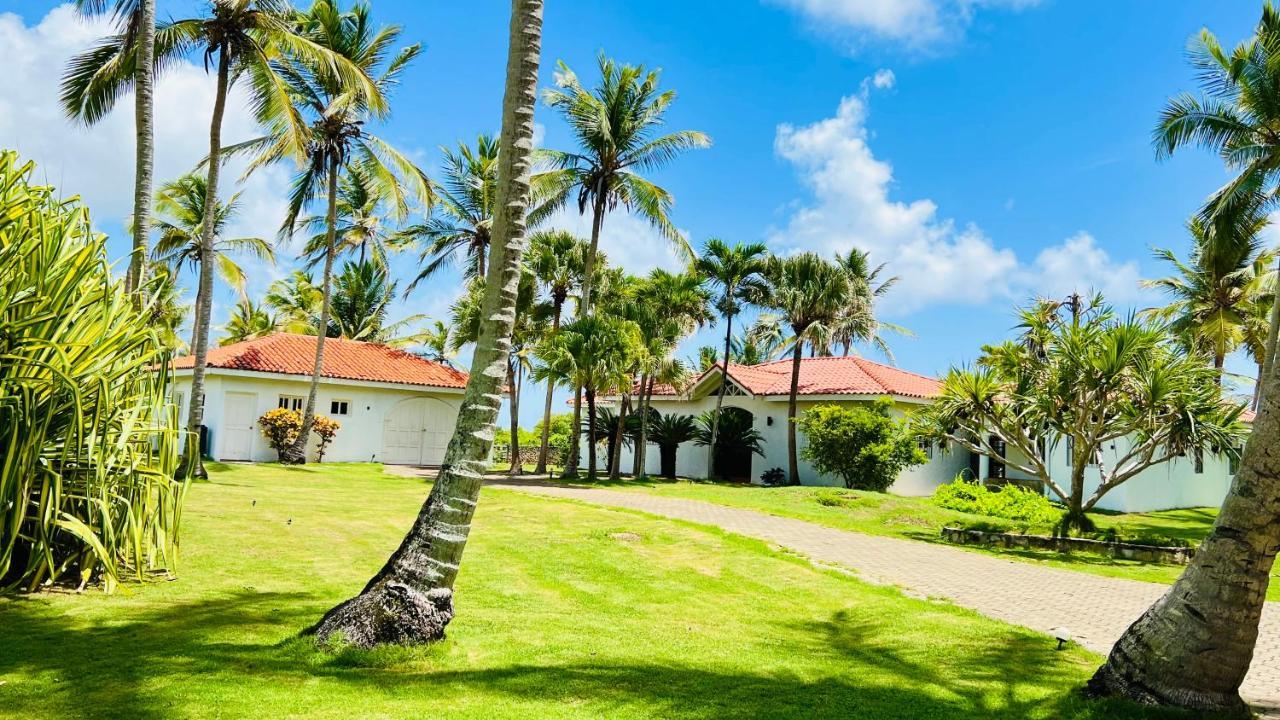Palm House - Luxury Villa - Samana - Ocean Front Sanchez Exterior photo